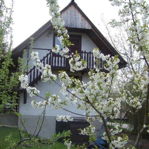 Nefelejcs Apartman Fertohomok Экстерьер фото